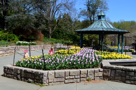 Brookside Gardens 2016