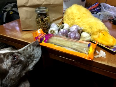 "You can gave all the Garlic; I want the Bone and the Yellow Plush Toy" photo