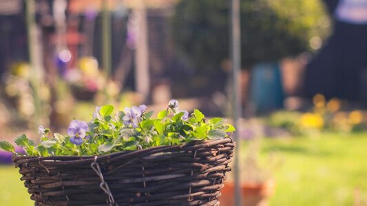 The leaves flowers basket