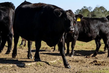 20201117-NRCS-LSC-0501
