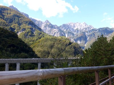 Mountains forests green trees