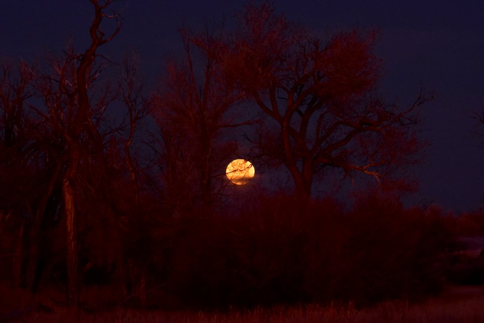 Moon over Seedskadee National Wildlife Refuge