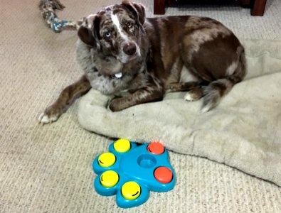 Do I Really Need Brain Games?