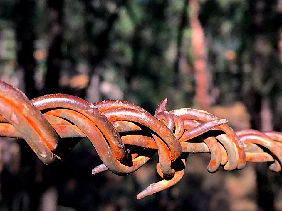 Do The Rusted Twist