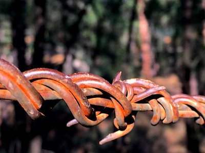 Do The Rusted Twist