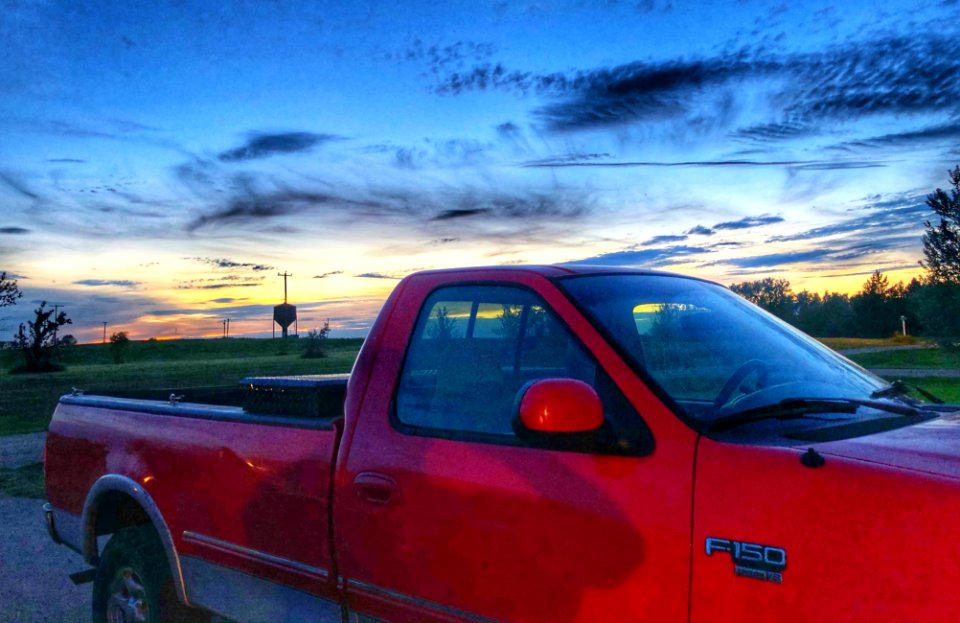 2020/366/178 Red Dog Under the Big Sky