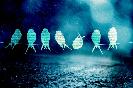 Rain blue light
