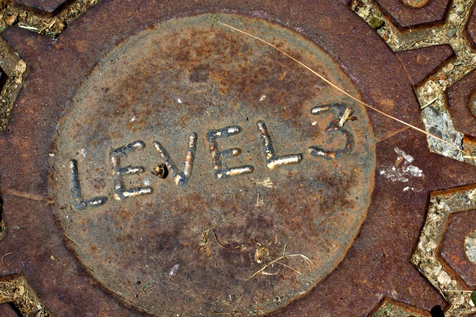 2010/365/218 You Have Reached Level 3
