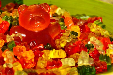 Gummi bear bear delicious