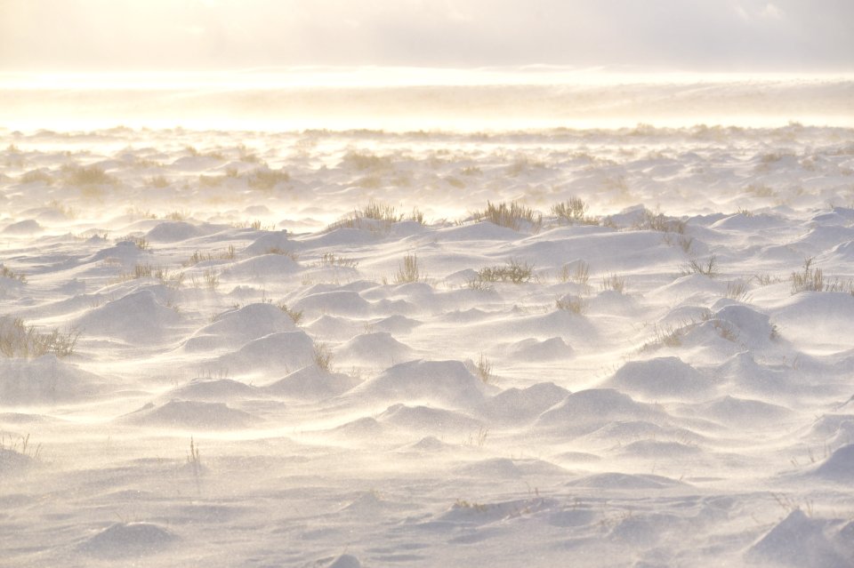 Sage steppe at Seedskadee National Wildlife Refuge