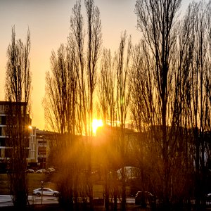 20200211 Kreisel 082 HDR