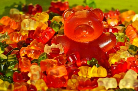Gummi bear bear delicious