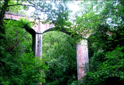 Talyllyn Railway Viaduct, Wales, 08 / 2013