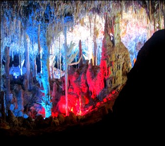 Cuevas del Hams, Majorca, 10 / 2014