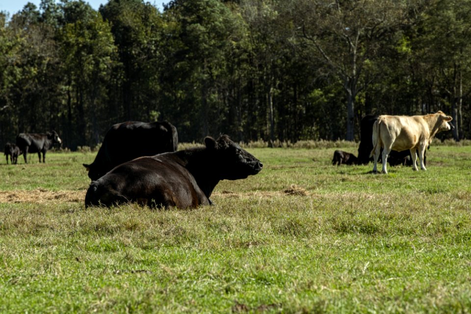 20201117-NRCS-LSC-0537