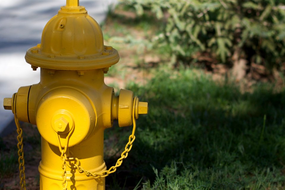 Quiet Unassuming Yeller