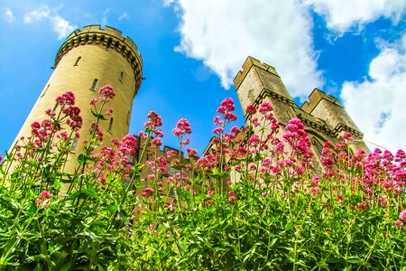 Arundel castle monument england photo