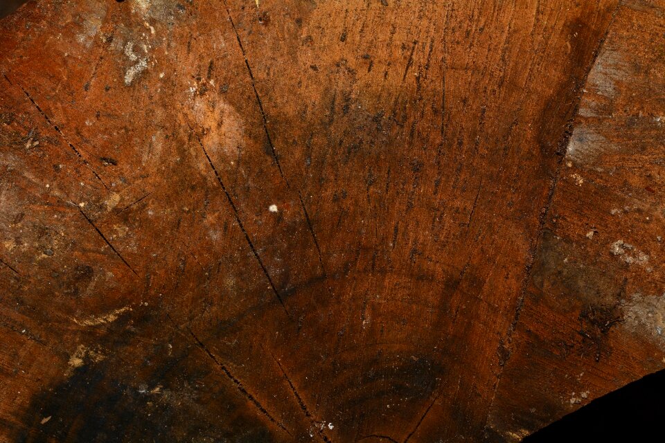 Texture background close up