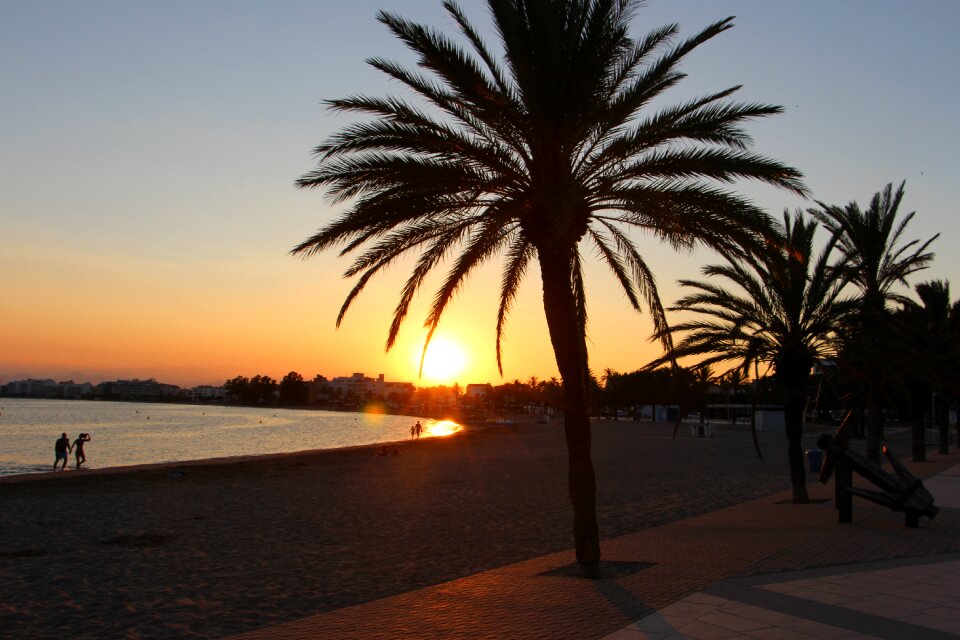 Sea beach sunset