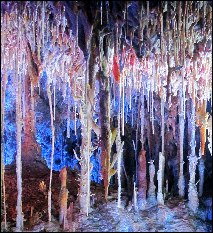 Cuevas del Hams, Majorca, 10 / 2014