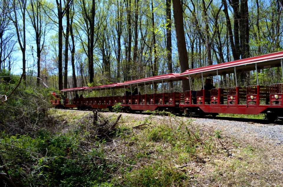 Wheaton Regional Park