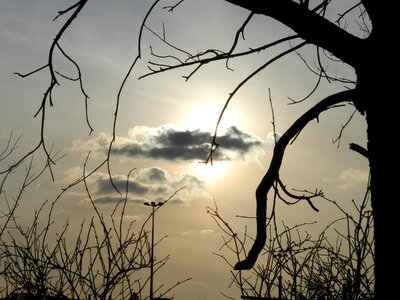 Evening the sun evening sky
