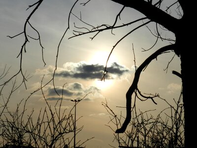 Evening the sun evening sky photo