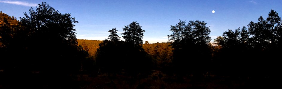 Moon Over The Mogollon Rim