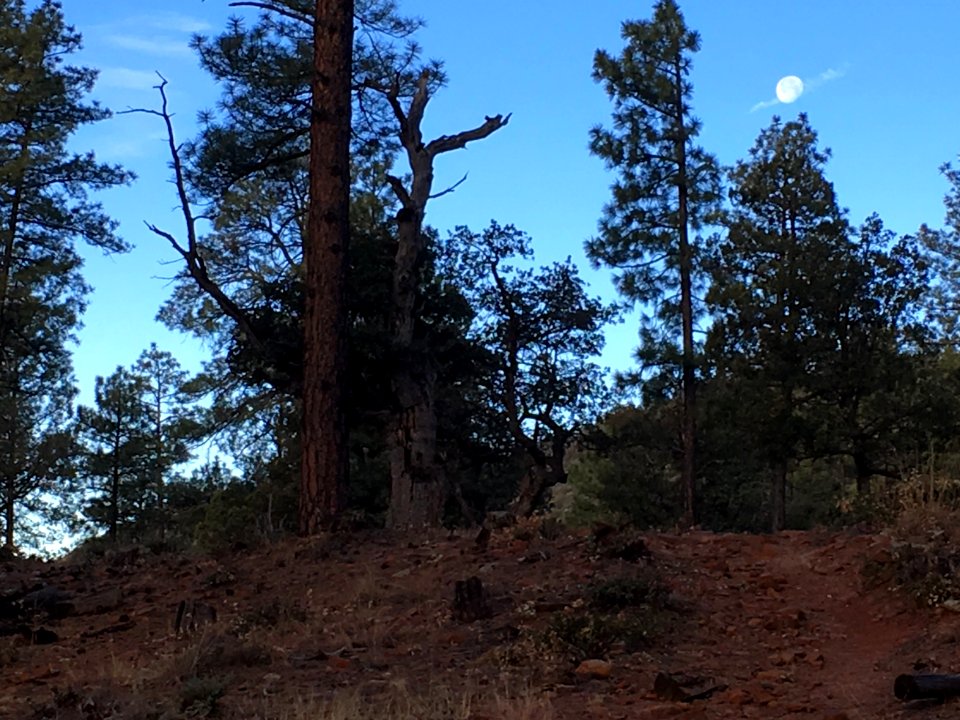 Slash Through the Moon