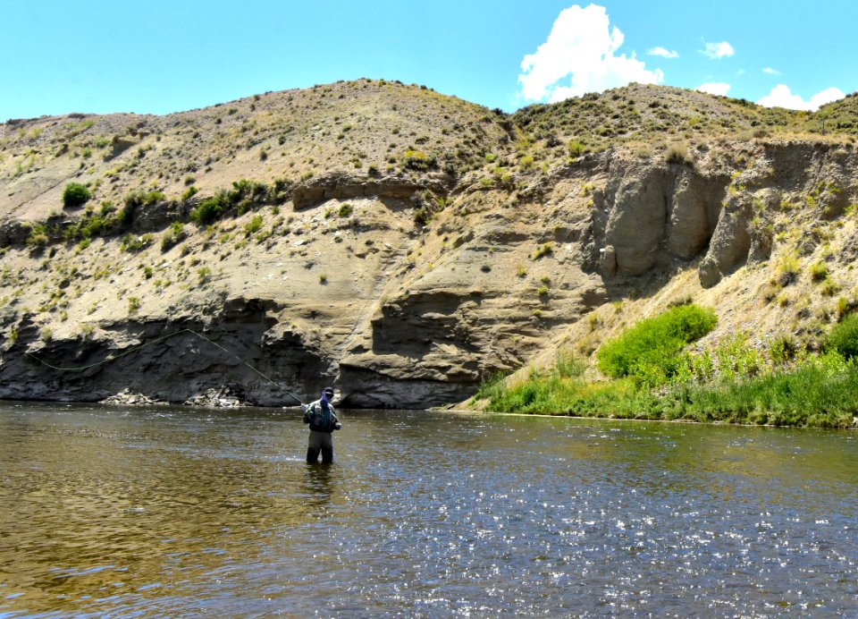 Fly Fishing photo