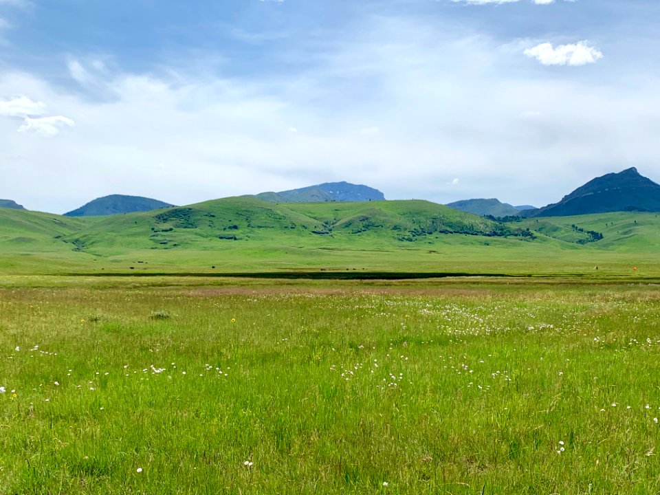 Rolling Hills2