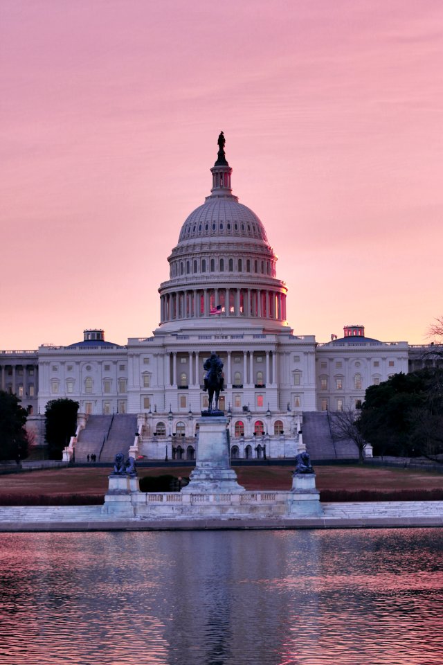 Pink Capitol