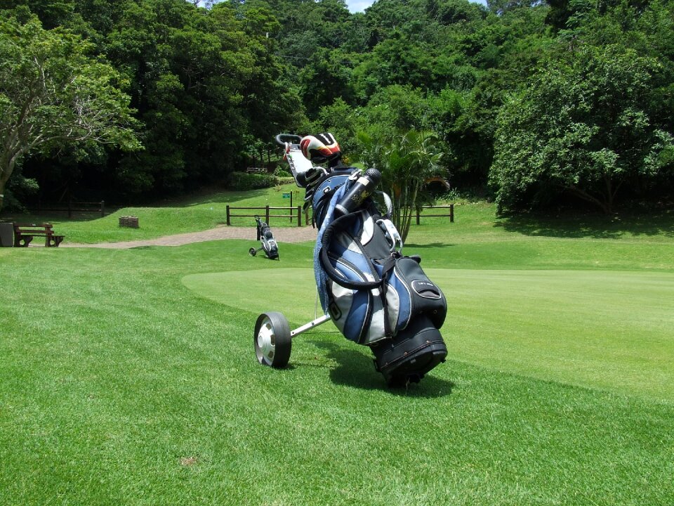 Golfing green summer