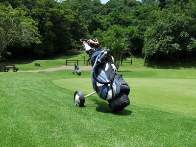 Golfing green summer