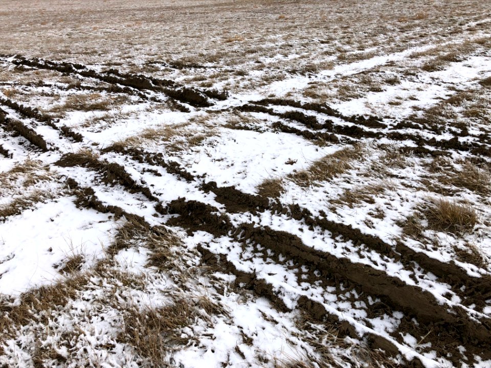 Tire Track Hash Tag