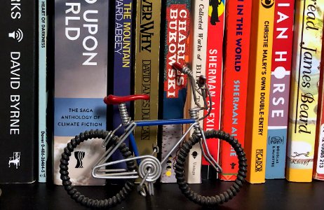 Biking Through the Books photo