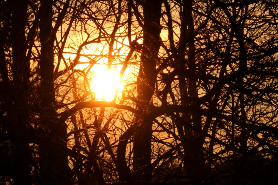 Abendstimmung sunset yellow