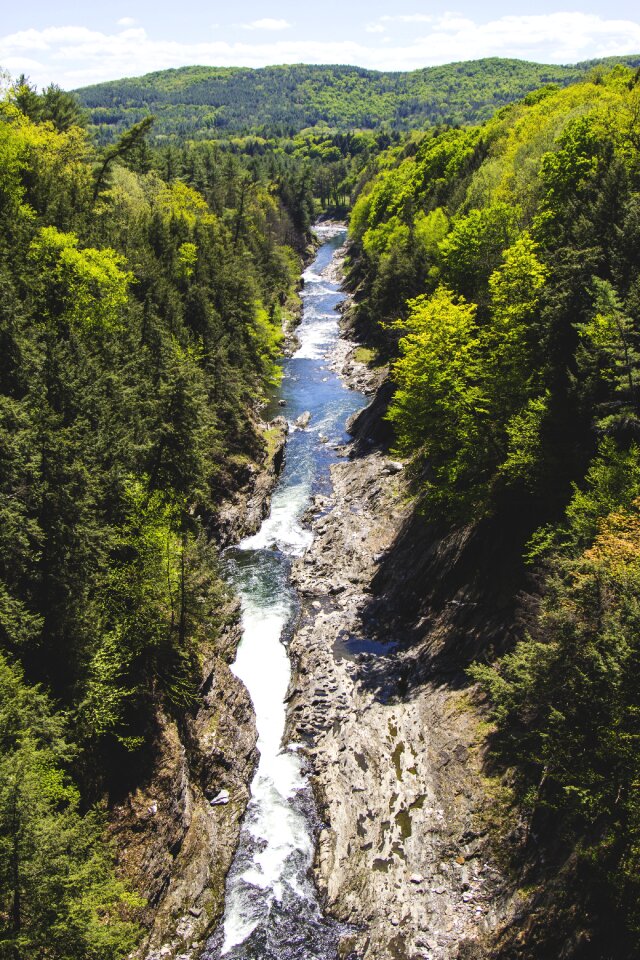Wild water nature
