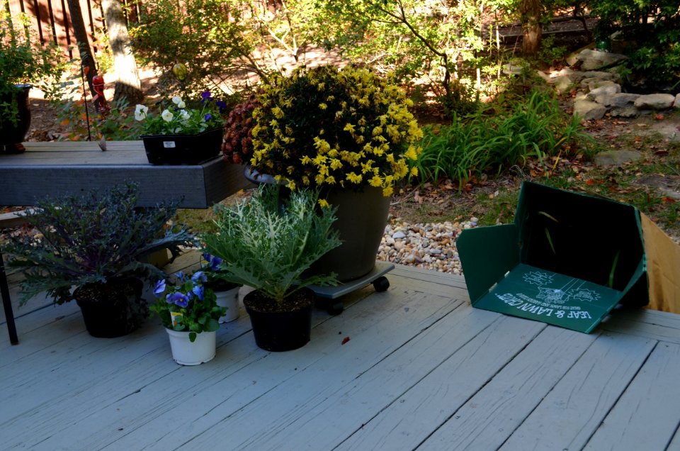 Fall 2014 Planting