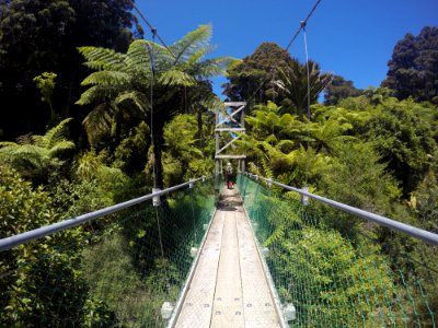 Jungle