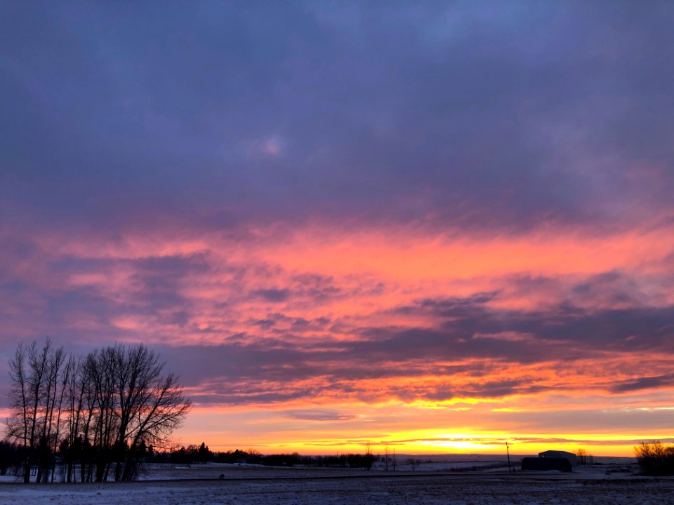These Warm Skies