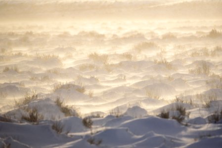 Sage steppe at Seedskadee National Wildlife Refuge