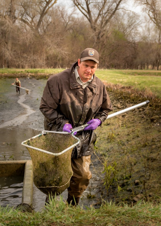 Harvesting a Hatchery Pond