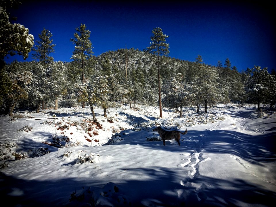 First On The Trails