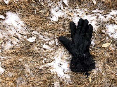Lost Glove Alert