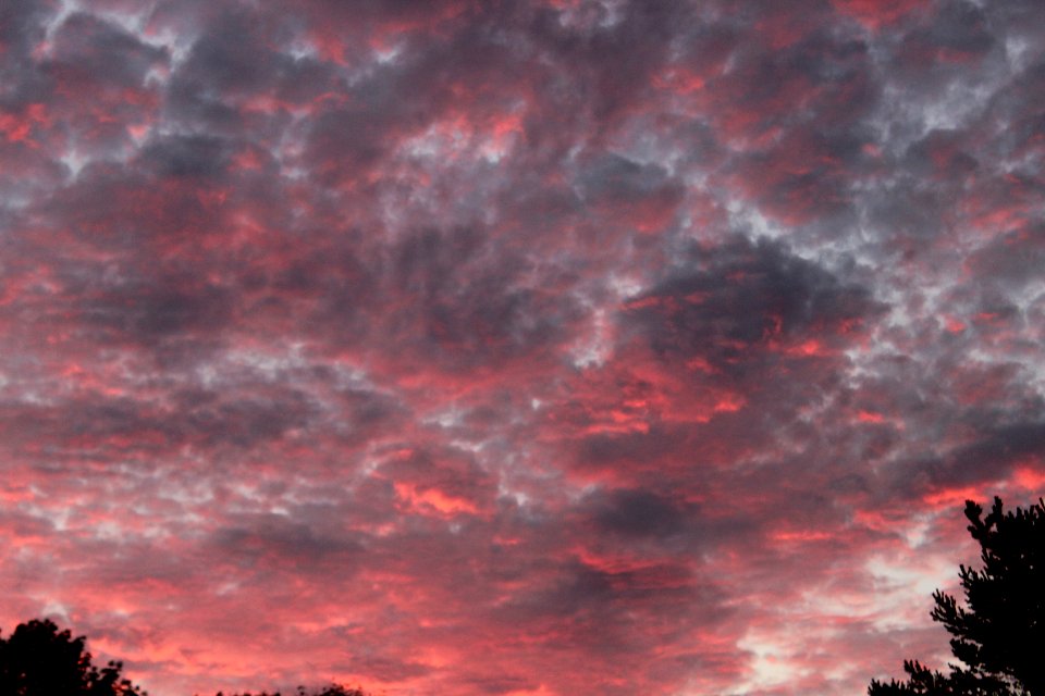 July Sunset