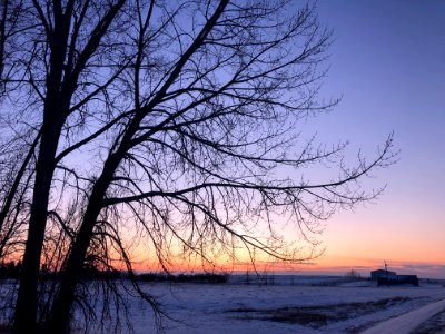 Goodnight, Prairie
