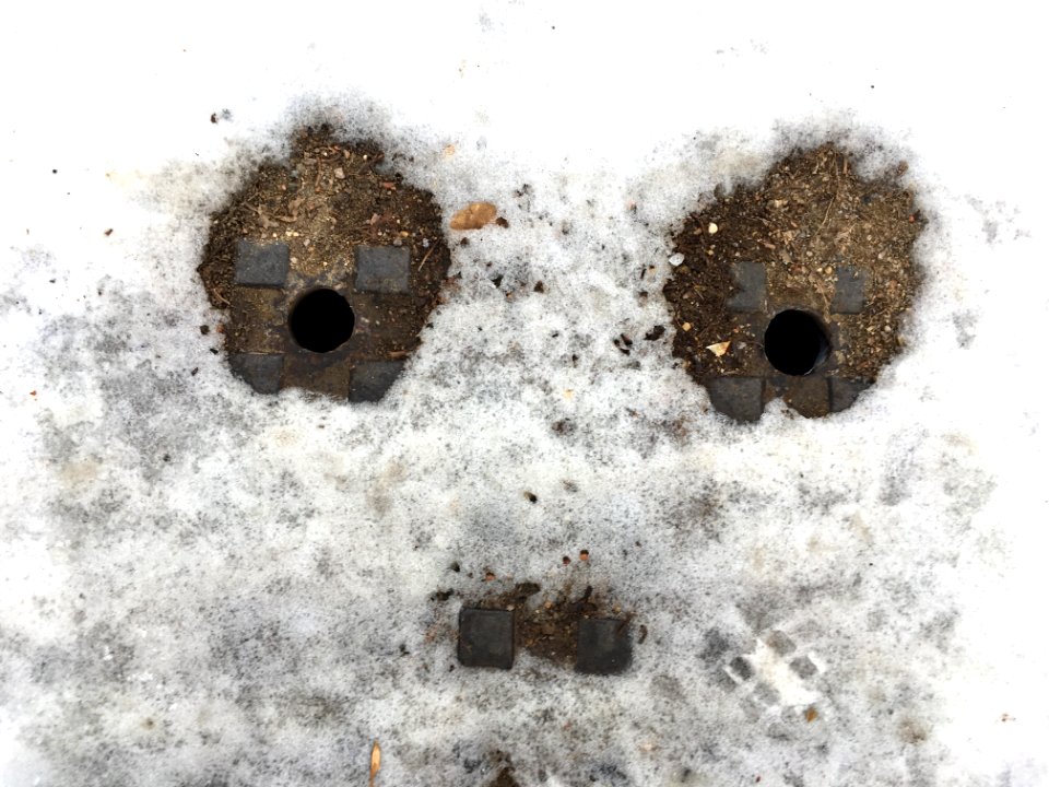 2018/365/352 Face in the Snow
