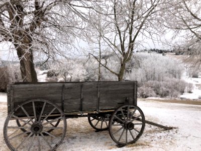 Got Wagon?