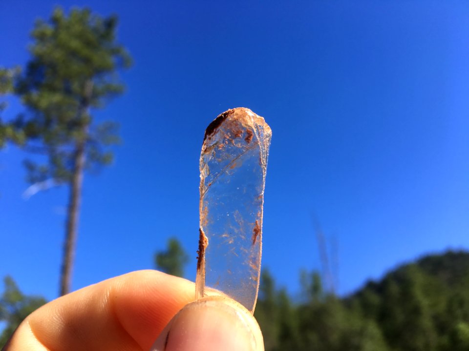 One Shard to Rule Them All